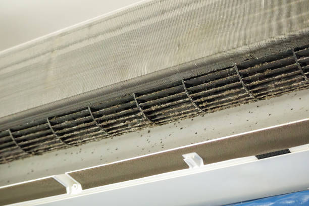 Best Local Air Duct Cleaning Services  in Palisades Park, NJ