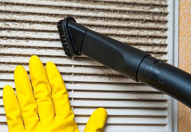 Best Dryer Vent Cleaning Services  in Palisades Park, NJ